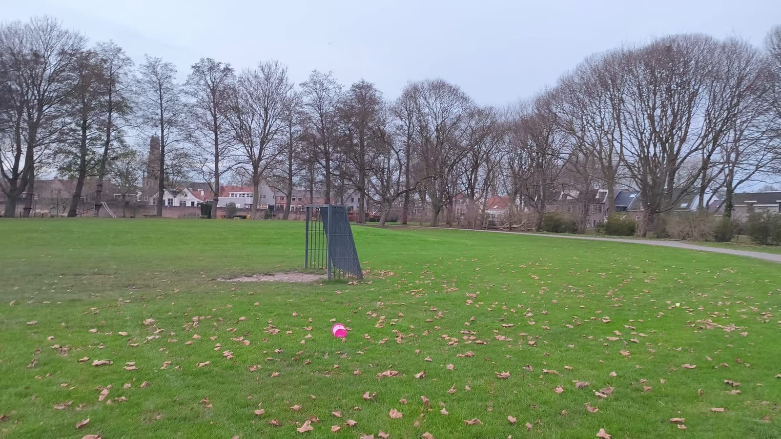 Daylight outdoor photo of a wide green grass field and distant trees under an overcast sky