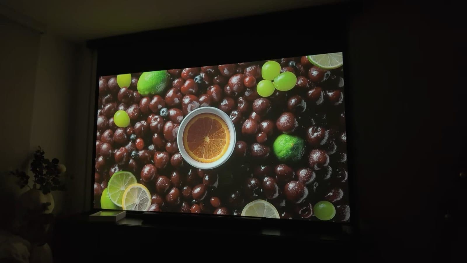 Kleurrijk testbeeld met vers fruit geprojecteerd in een donkere kamer